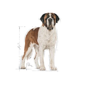 ROYAL CANIN® Giant Adult 15kg